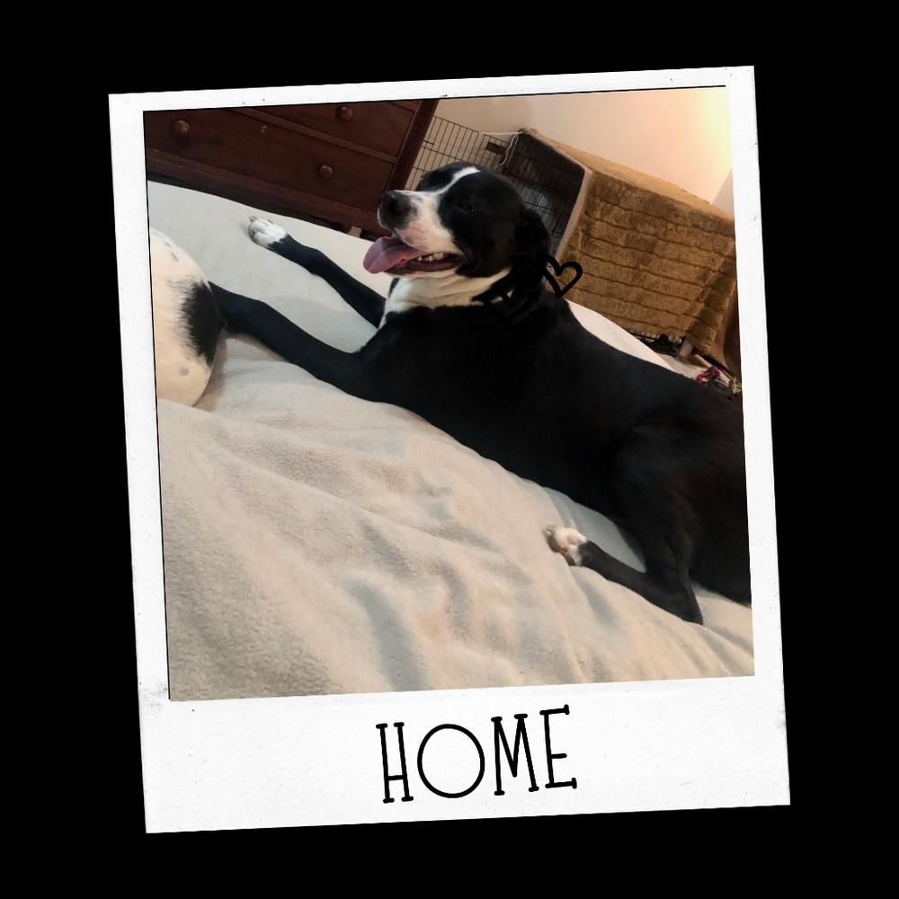 Home